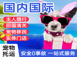 宁远航空空运国际宠物托运 【国